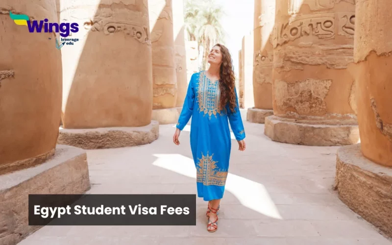 egypt student visa fees