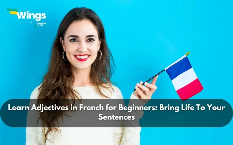 Learn Adjectives in French for Beginners: Bring Life To Your Sentences