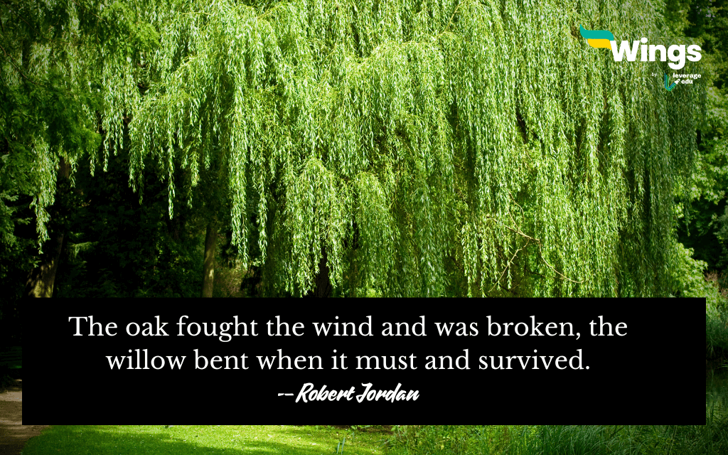 quotes on resilience for students