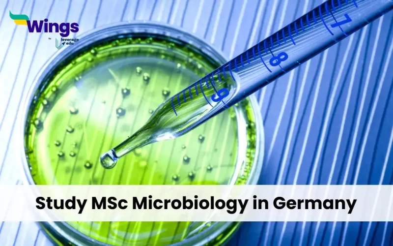 Study MSc Microbiology in Germany