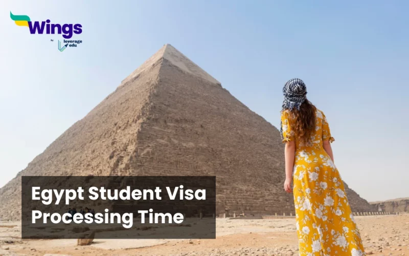 Egypt student visa processing time