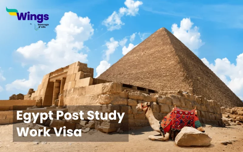 Egypt post study work visa