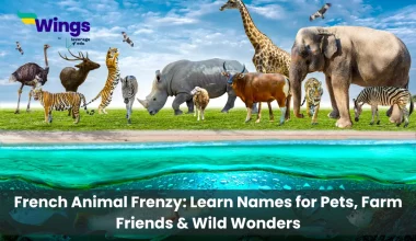 French-Animal-Frenzy-Learn-Names-for-Pets-Farm-Friends-Wild-Wonders
