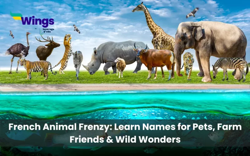 French-Animal-Frenzy-Learn-Names-for-Pets-Farm-Friends-Wild-Wonders