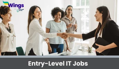 Entry Level IT Jobs
