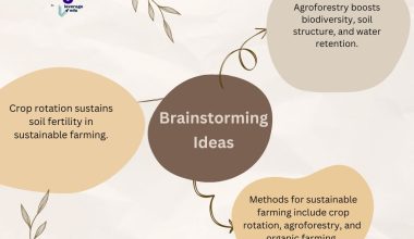 Methods for sustainable farming include crop rotation, agroforestry, organic farming, conservation tillage, integrated pest management, and the use of cover crops.