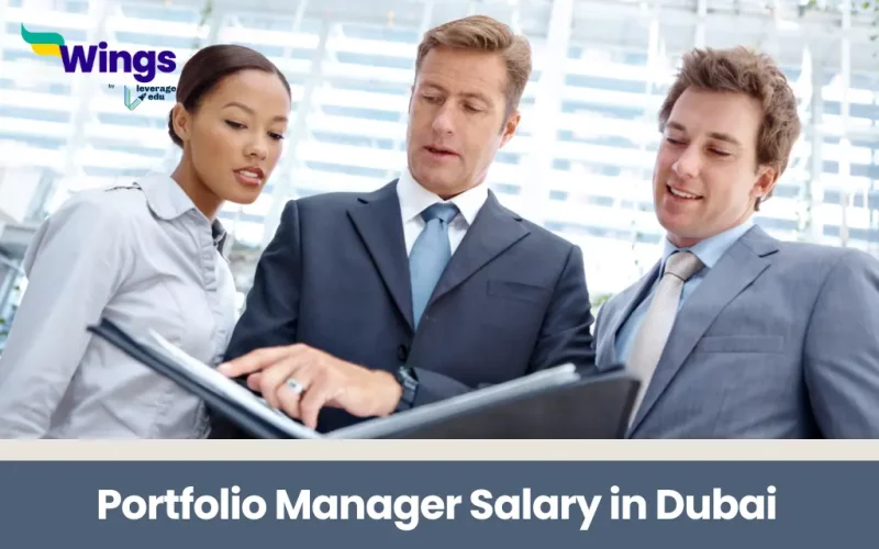 Portfolio Manager Salary in Dubai