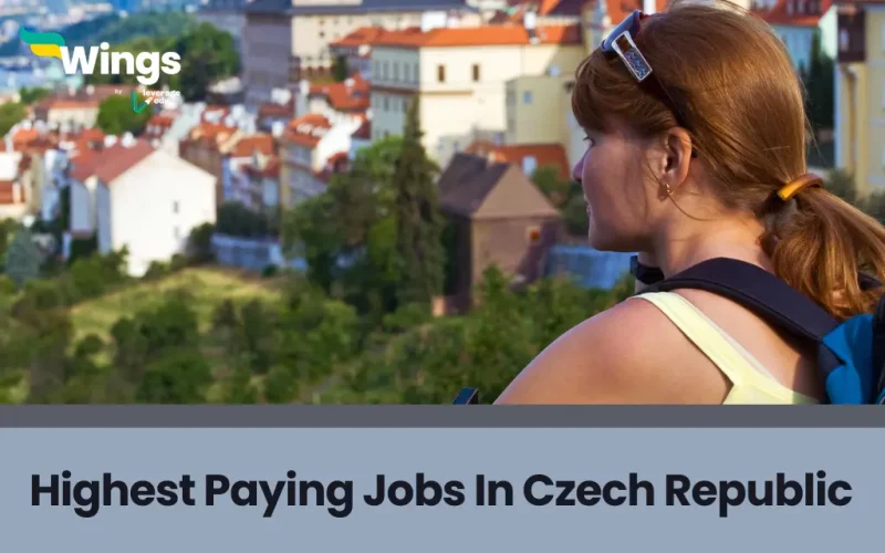 Highest Paying Jobs In Czech Republic