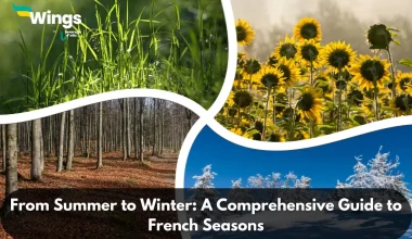 From-Summer-to-Winter-A-Comprehensive-Guide-to-French-Seasons.