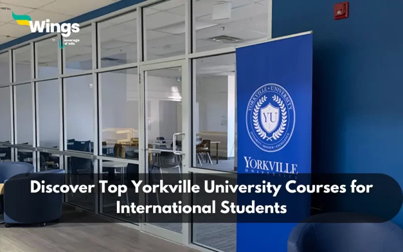 yorkville university courses