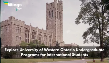 university of western ontario undergraduate programs