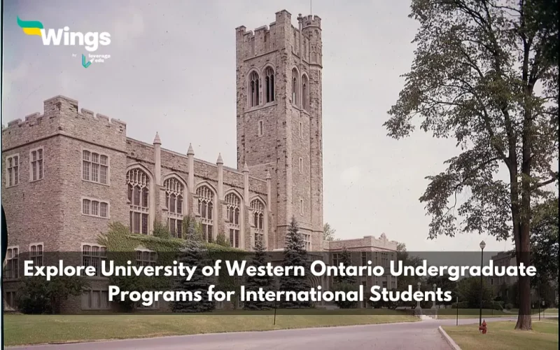 university of western ontario undergraduate programs