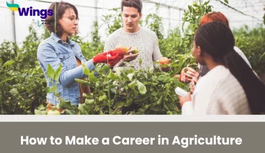 career in agriculture