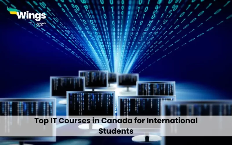 Top IT Courses in Canada for International Students