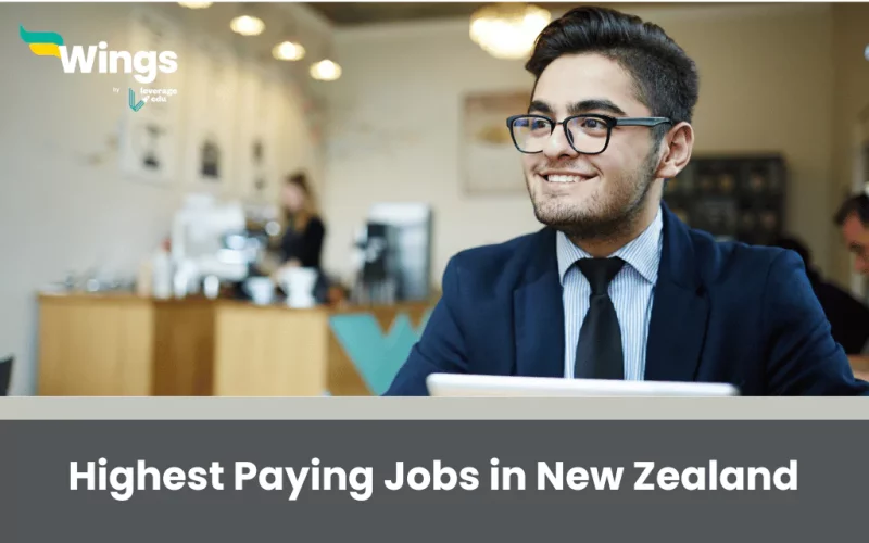 Highest Paying Jobs in New Zealand