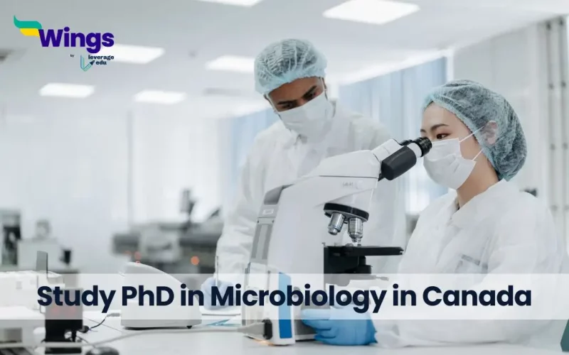 Study PhD in Microbiology in Canada