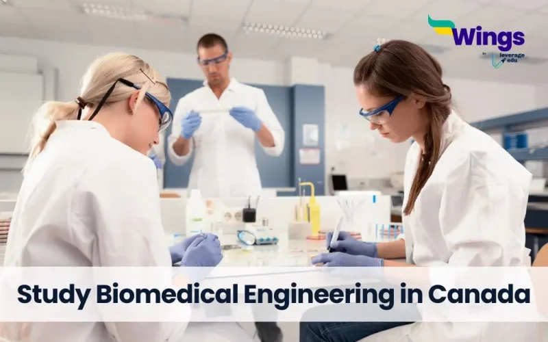 Study Biomedical Engineering in Canada