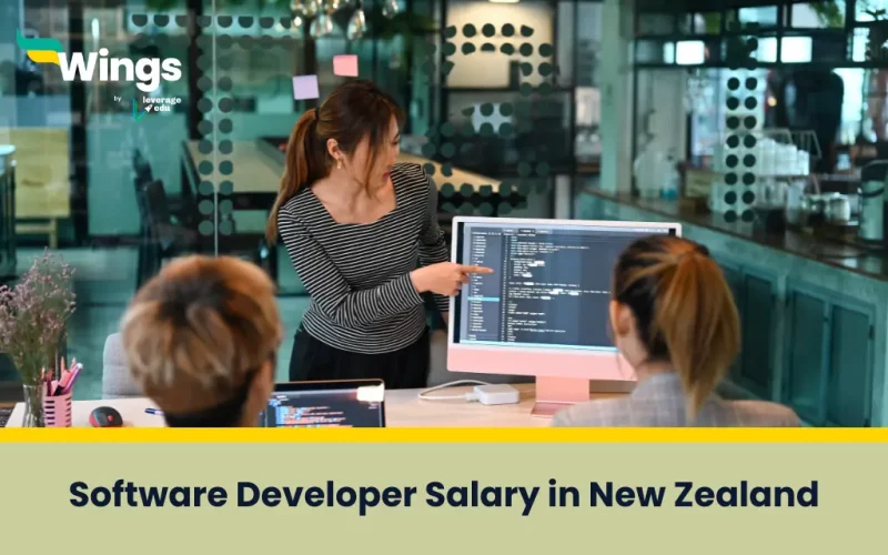 Software Developer Salary in New Zealand