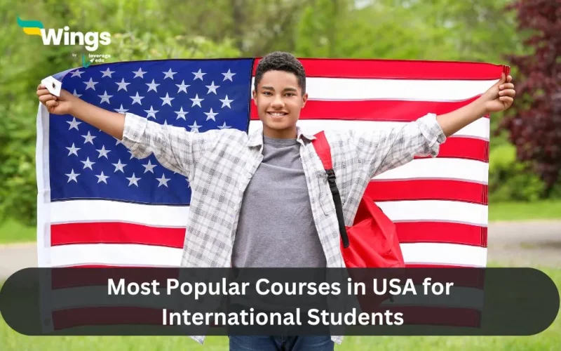 Most Popular Courses in USA for International Students