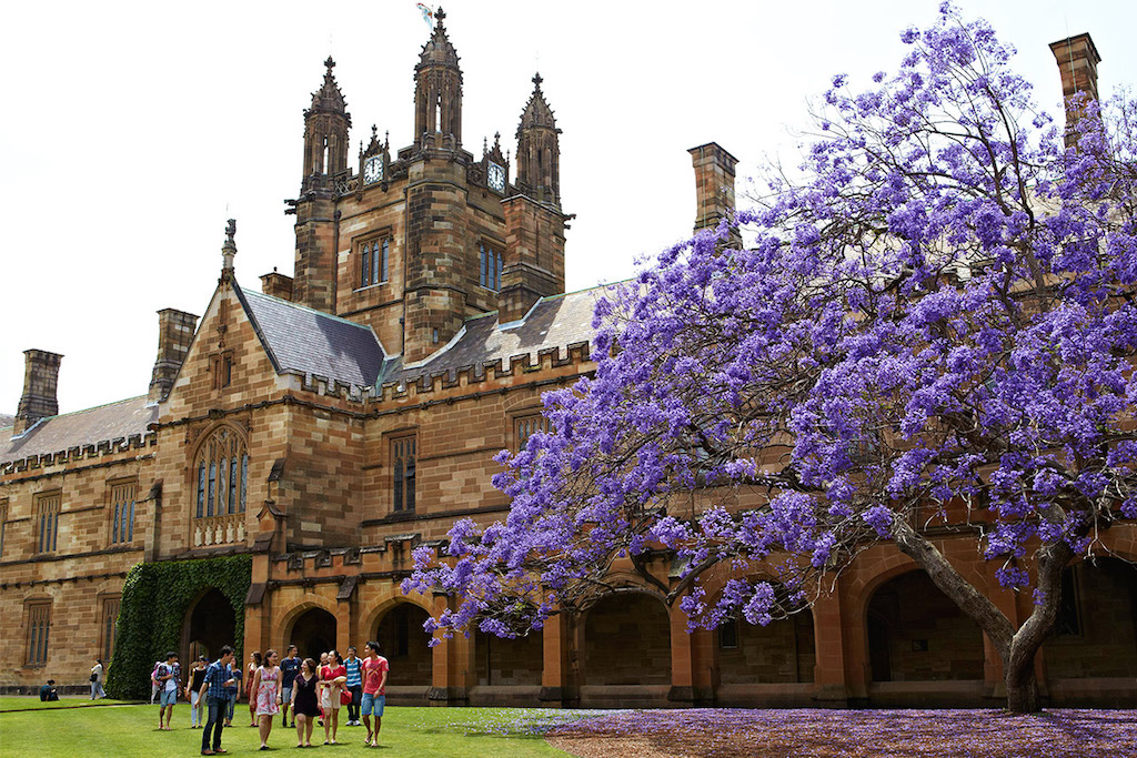 interesting facts about the university of sydney
