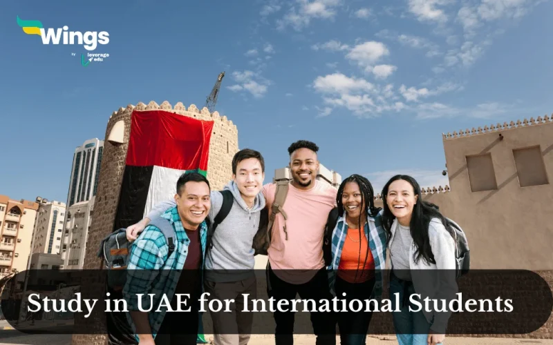 study in uae for international students