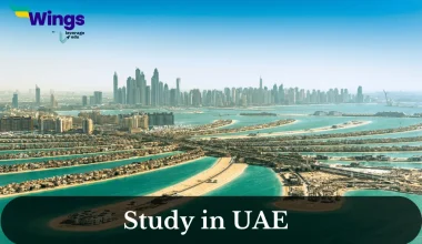 study in uae