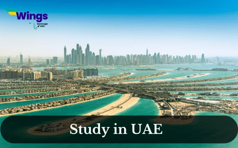 study in uae