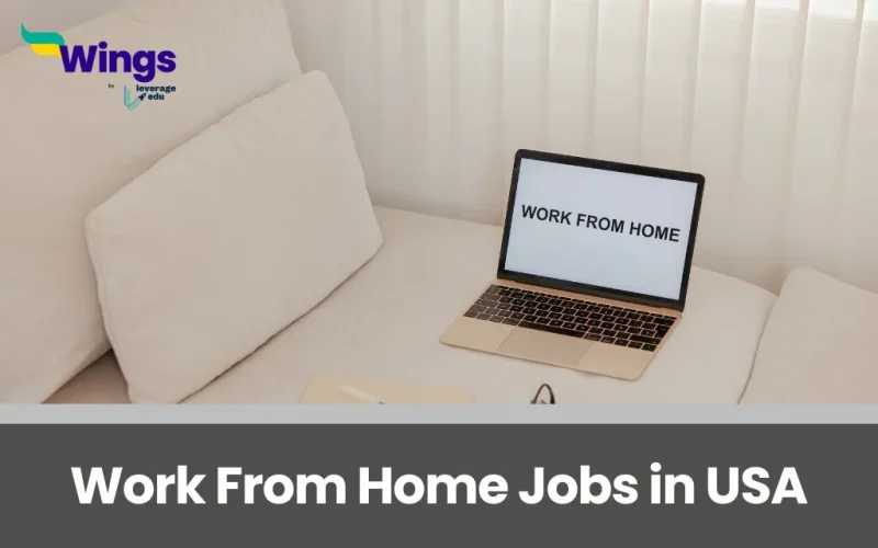 Work From Home Jobs in USA for Indian Students