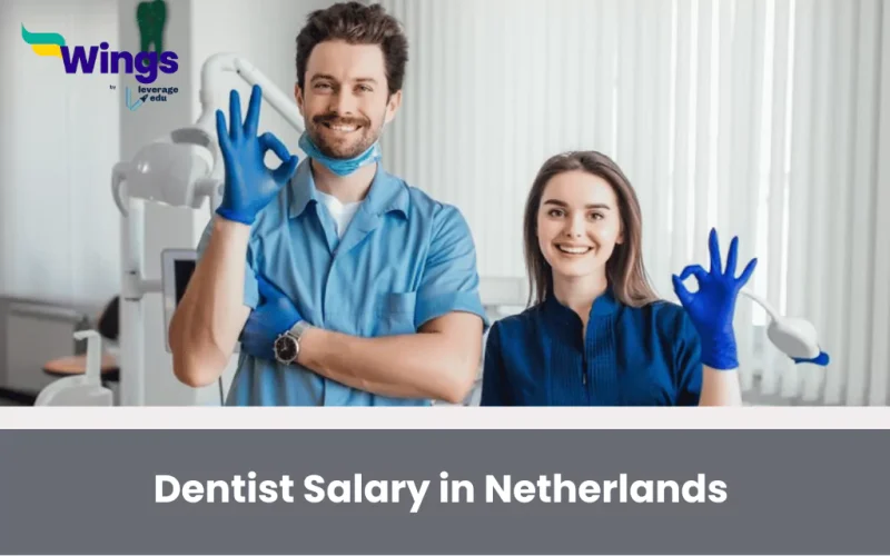 Dentist Salary in Netherlands