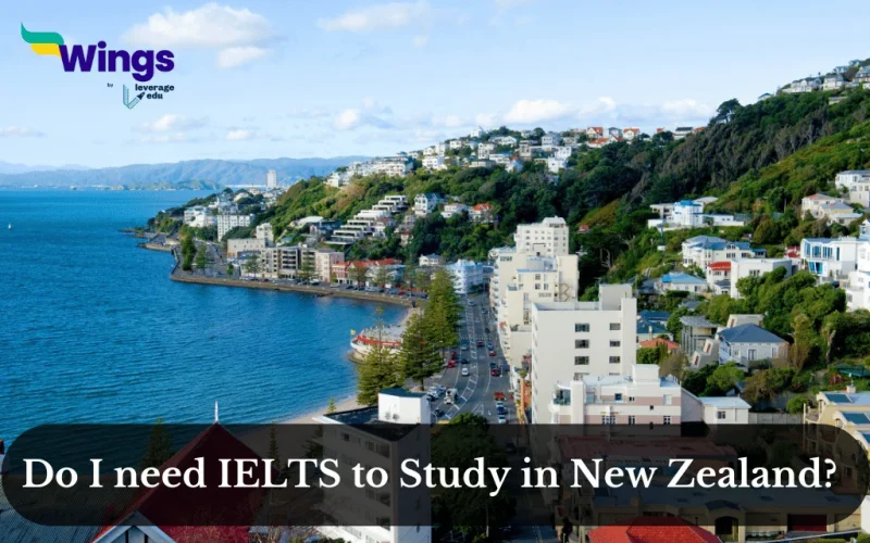 do I need IELTS to study in New Zealand?