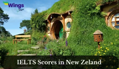 ielts scores in nz