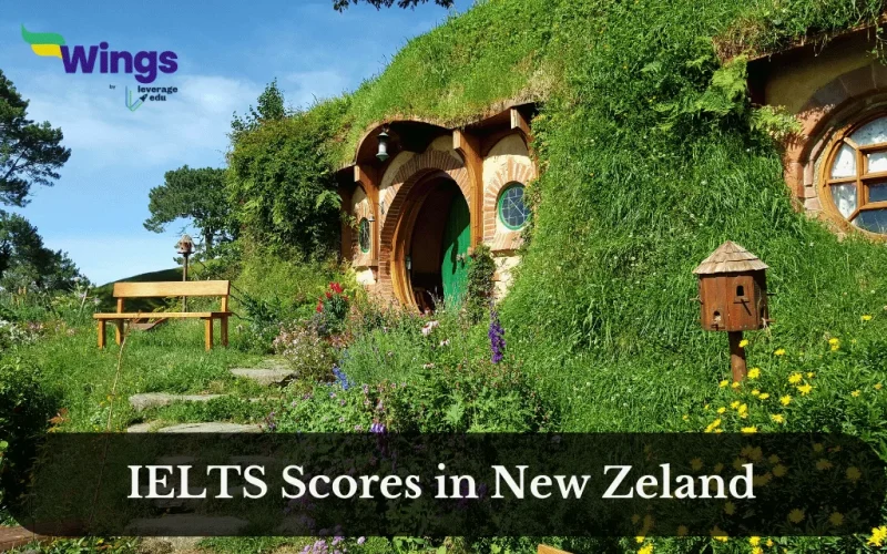 ielts scores in nz