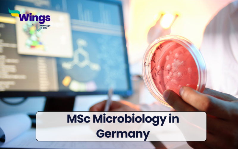 MSc Microbiology in Germany