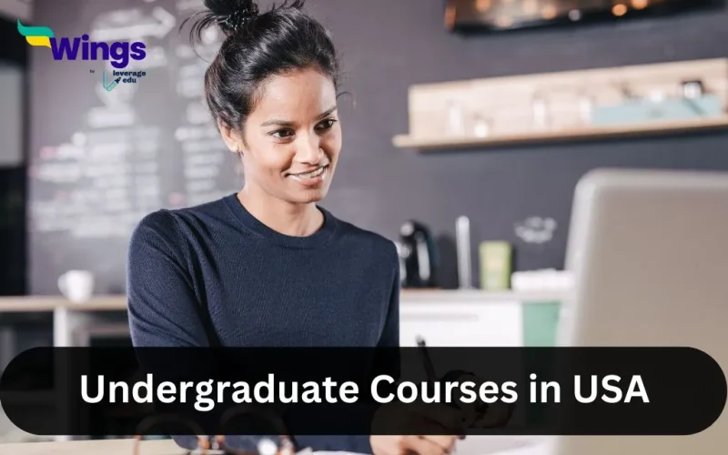 Undergraduate Courses in USA